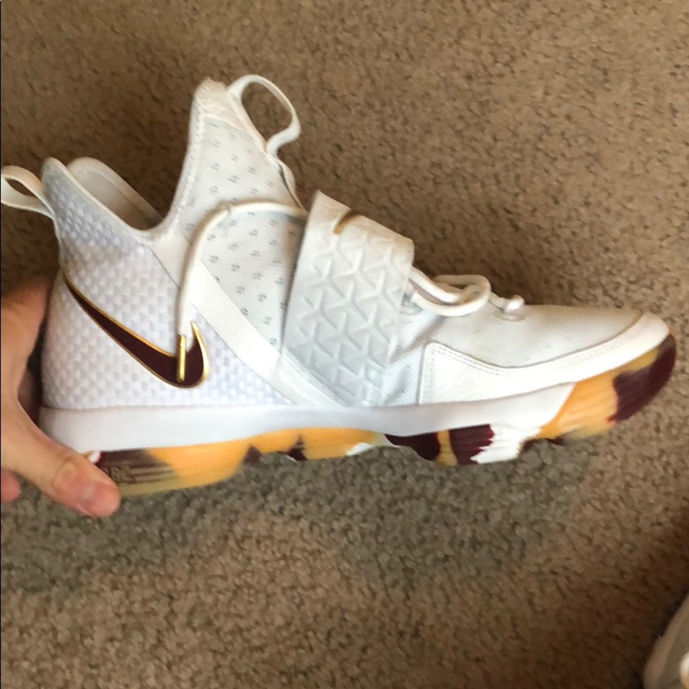 Lebron 14s